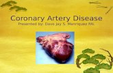 Coronary Artery Disease (CAD) from the original author of CAD Tozki