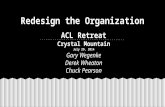 Redesigning the organization