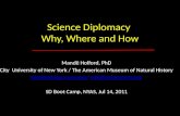 Science Diplomacy: Why, Where and How