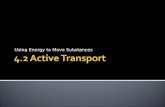 4 2 Active Transport