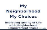 Neighborhood Improvement Teams
