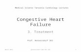 Heart failure 2013 Therapy