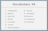 Freshman academy vocabulary3