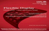 130408 hsbc flexible display