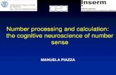 Piazza cogmaster cognitive_neuroscience2013