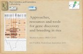 GRM 2011: Approaches, resources and tools for rice gene discovery and breeding