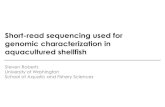 Short read sequencing and shellfish