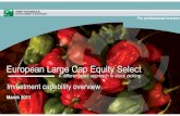 European large cap equity select