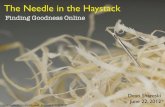 Needle in the haystack