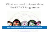FP7-ICT Programme