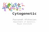 Cytogenetics 1