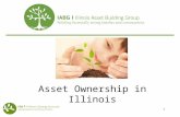 Asset Ownership in Illinois