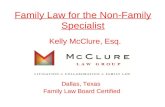 Family Law for the Non-Family Specialist