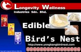 Edible Birdnest EBN fit for human consumption