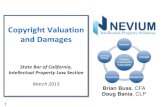 Copyright Valuation and Damages - Nevium 2013