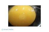 Egg 2 Chick