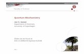 Quantum Biochemistry: the rise of semiempirical methods