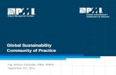 PMI global sustainability CoP introduction