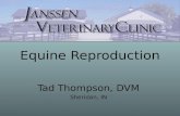 Equine Reproductive Techniques