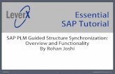 LeverX Tutorial - SAP PLM Guided Structure Synchronization - Overview and Functionality
