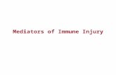 mediators of immune injury
