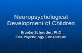 Neuropsychological development of children