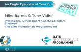 An Eagle Eye View Of Your Business