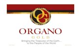 organo gold healthy coffee business