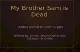 My Brother Sam Is Dead Journal