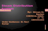 Steam distribution system