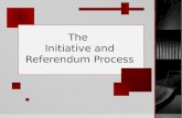Initiative and referendum process