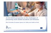 An EU-OSHA perspective on the challenges of preventing work-related accidents and diseases