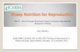 Sheep nutrition for reproduction—Part II:  Use of focused nutritional inputs to enhance reproductive response of sheep