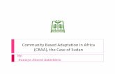 Community based adaptation, sudan   regional consultation