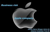 Business risk(1)