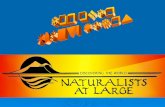 Morro Bay / Montana De Oro: Naturalists at Large