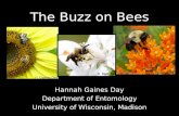 Gaines day stevenspoint-bee-talk-5-21-14-final