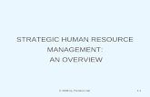 Strategic HRM overview