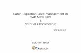 Batch Expiration Date Management in SAP MRP/MPS