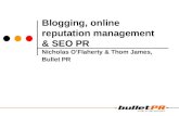 Blogging, Orm & Seo PR