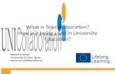 Weaving Global Partnerships: Telecollaboration in University Education