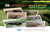 2008-4buffalo bulletin