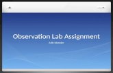 Observation Lab assignment