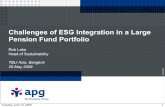 Challenges of ESG Integration in a Large  Pension Fund Portfolio