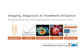 Imaging Diagnosis and Therapeutics of Cancer