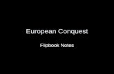 European conquest