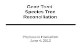 Phylotastic reconciliation