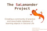 The Salamander Project