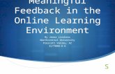 Meaningful Feedback in the Online Learning Environment