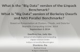 What is the "Big Data" version of the Linpack Benchmark?; What is “Big Data” version of Berkeley Dwarfs and NAS Parallel Benchmarks?